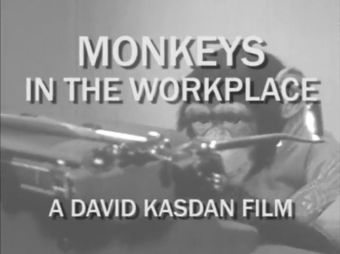 Monkeys video screen shot capture